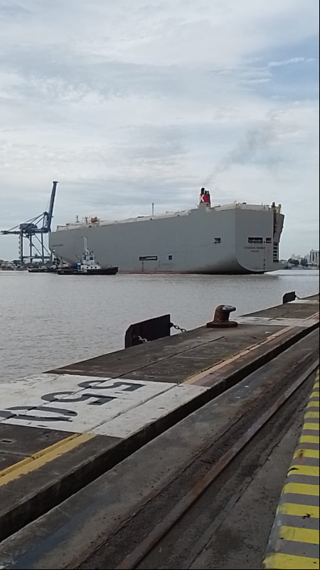 Porto de Itajaí recebe sua 10ª atracação de navio ROLL ON ROLL OFF