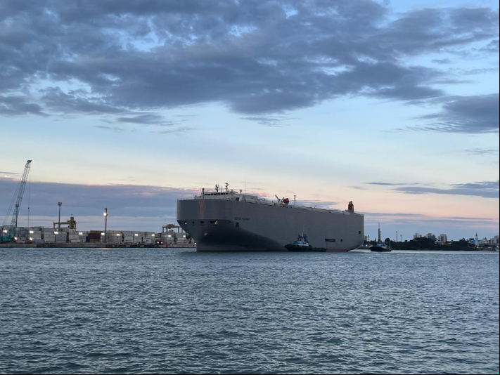Porto de Itajaí recebe carga de veículos de luxo nesta terça-feira (20) Porto de Itajaí recebe carga de veículos de luxo nesta terça-feira (20)